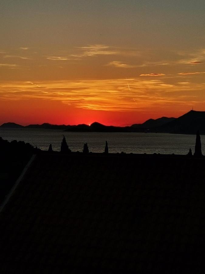 Sunset View New Apartment Cavtat Eksteriør bilde